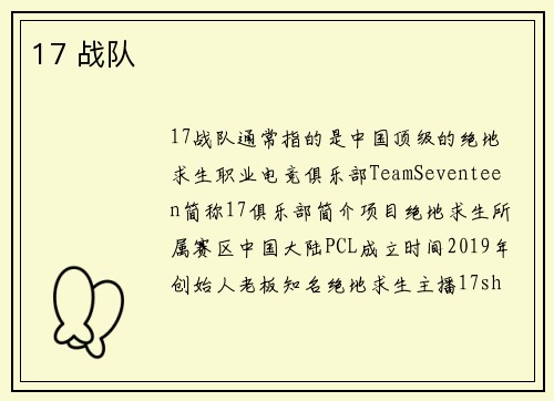 17 战队